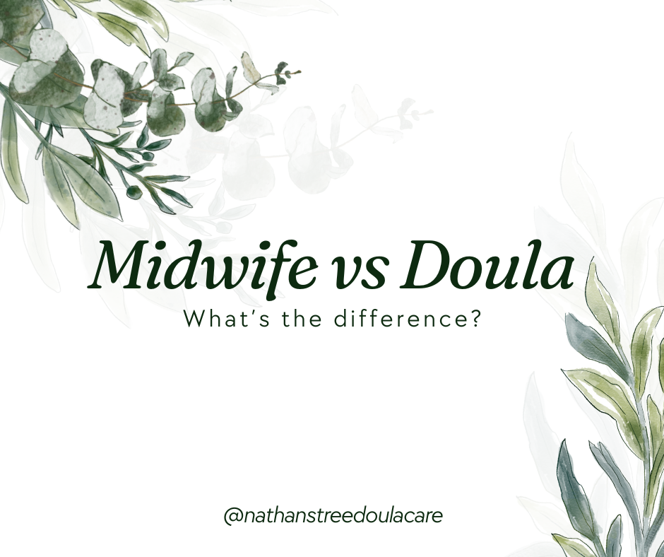 Midwife vs Doula